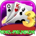 58ee - Gaming Premium