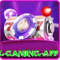 9ppg Ultimate Gaming App