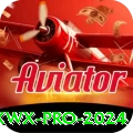 wxwx Pro 2024